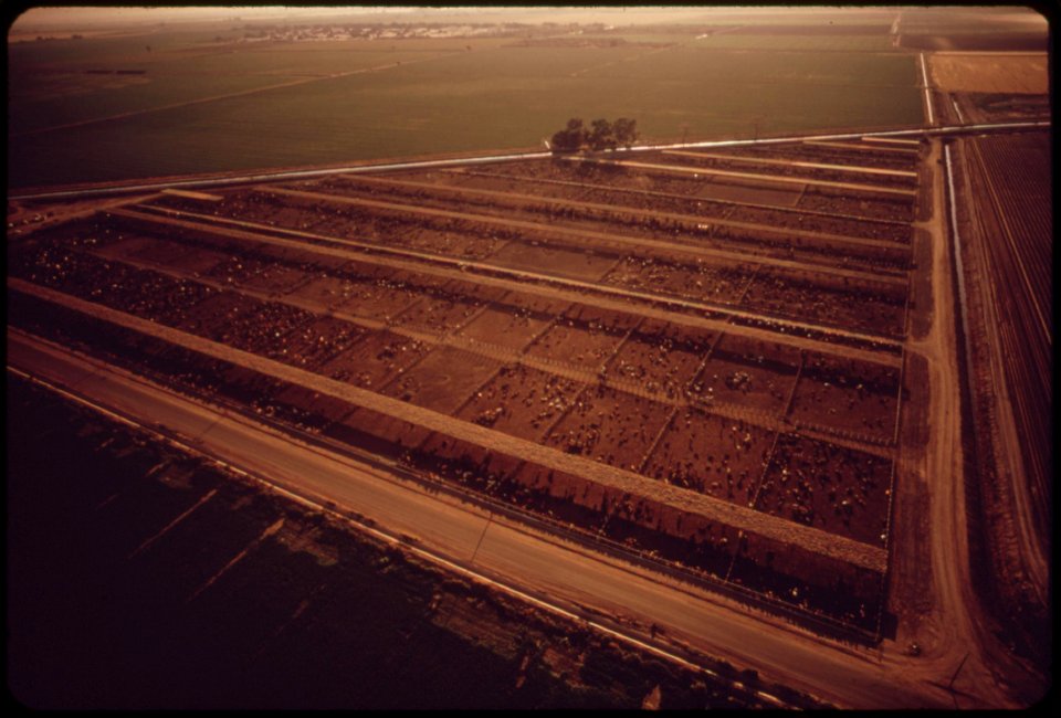 Irrigated-fields-of-the-imperial-valley-near-el-centro-may-1972 6990335348 o