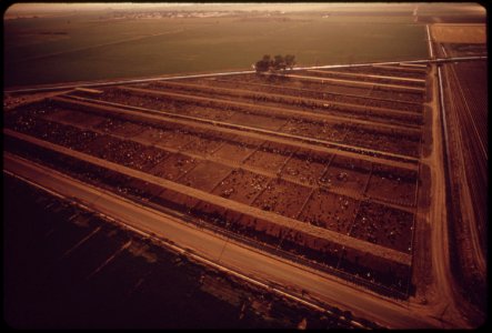 Irrigated-fields-of-the-imperial-valley-near-el-centro-may-1972 6990335348 o