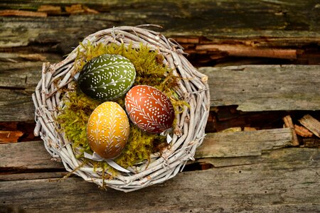 Nest egg easter decoration photo