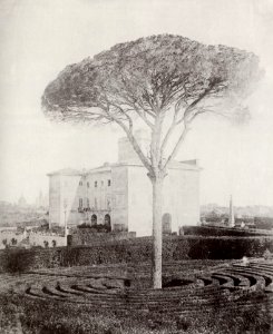 Italienischer Photograph um 1852 - Villa Altieri (Zeno Fotografie) photo