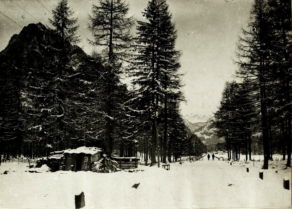Italienischer Unterstand und Drahtverhau auf der Straße nach Peutelstein 2 km. nördlich Cortina. (BildID 15416339)