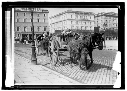 Italy, Rome. Drivers sleeping in their carts LCCN2016821562