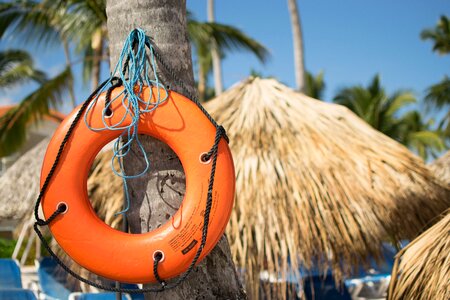 Vacations palm trees life-saving
