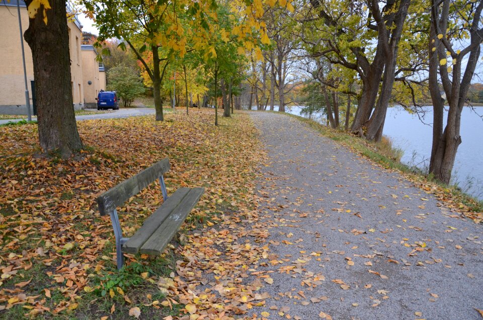 Water leaves bench