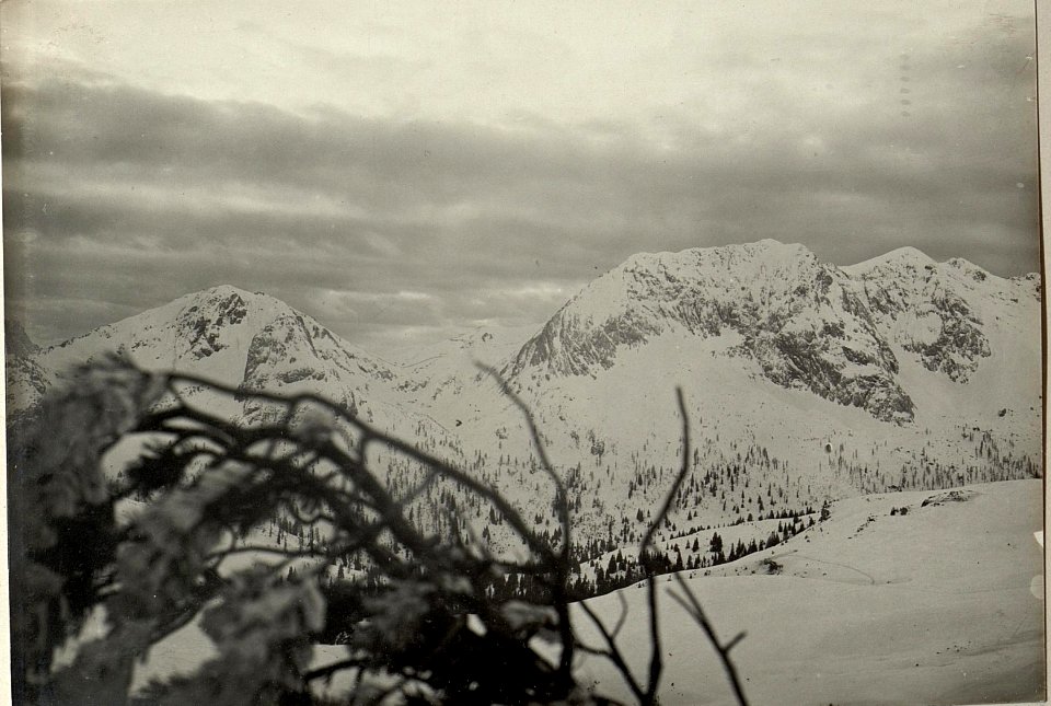Italienische Stellungen auf dem Monte Pizzut (1987) Forca di Lanza (1834) und Monte Zermula (2180). Standpunkt, Rattendorferalm. (BildID 15467885)