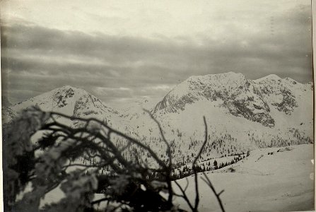 Italienische Stellungen auf dem Monte Pizzut (1987) Forca di Lanza (1834) und Monte Zermula (2180). Standpunkt, Rattendorferalm. (BildID 15467885)