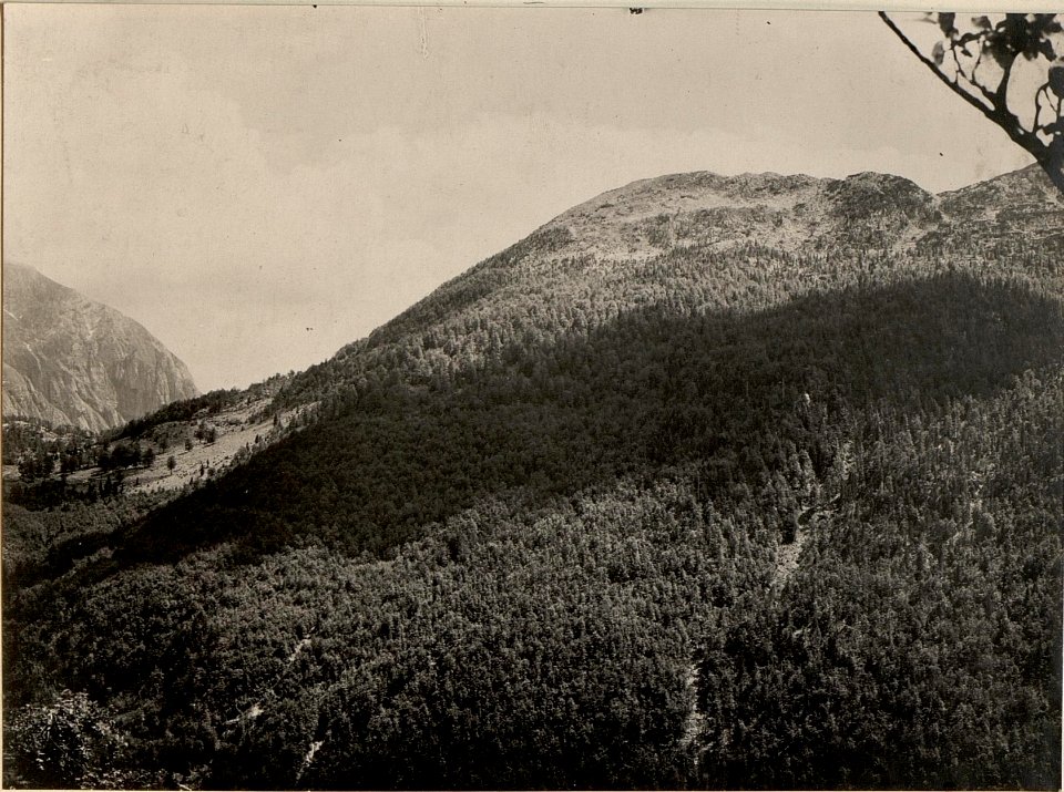 Italienische Talsperre auf Kote 1270, VRSIC, KRN, KRASJI VRH. Aufgenommen aus der Vorfeldstellung der 10. Komp. des k.u.k. Infanterie Regiments Nro.26 am 30.Juni 1916. (BildID 15477008)