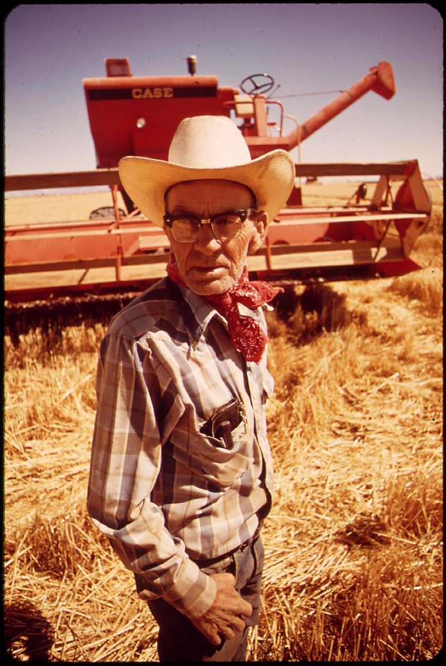 Its-wheat-harvesting-time-in-the-palo-verde-valley-may-1972 7152698543 o