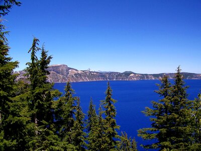 Blue mountains pine trees photo