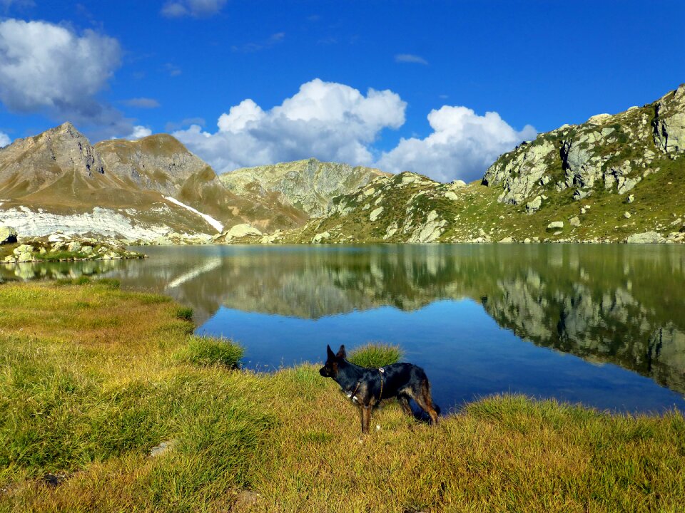 Bergsee mirroring hike with your dog