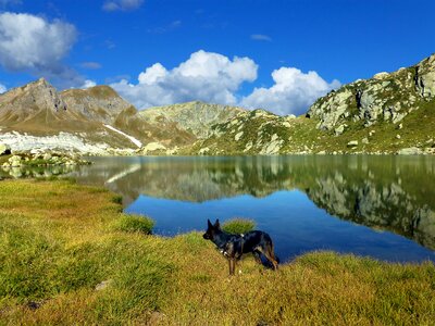Bergsee mirroring hike with your dog