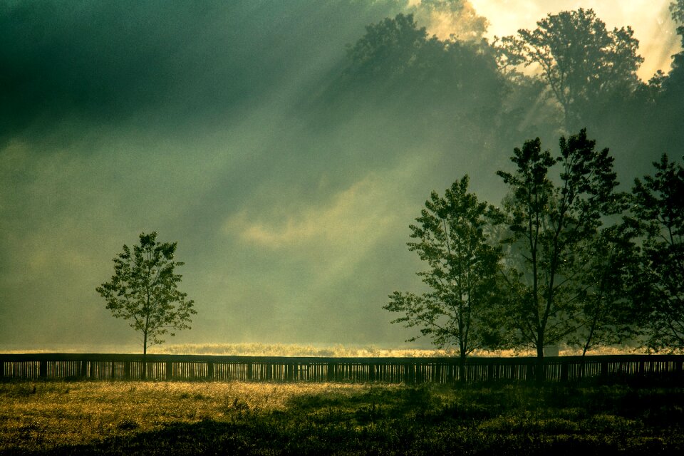 Dawn sky green sky