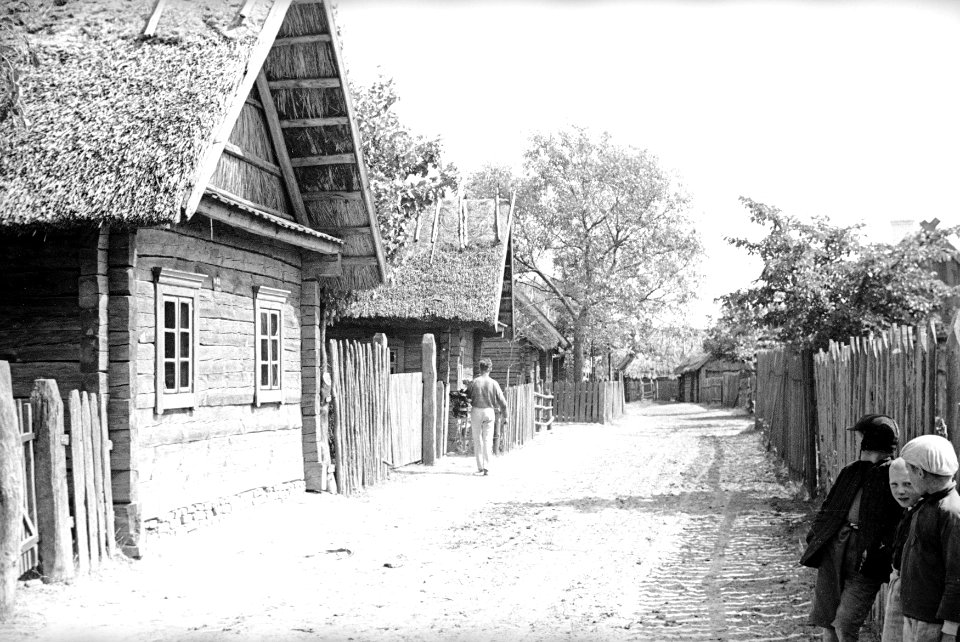 Haradzišča. Гарадзішча (H. Poddębski, 1936) (7)