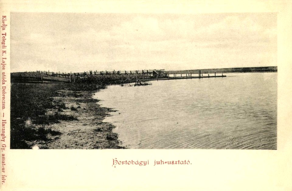 Haranghy György Hortobágyi juhusztató 0124170