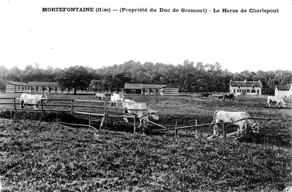 Haras de Charlepont
