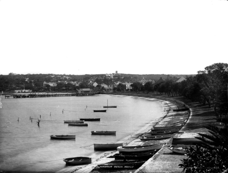 Harbour beach, Manly from The Powerhouse Museum