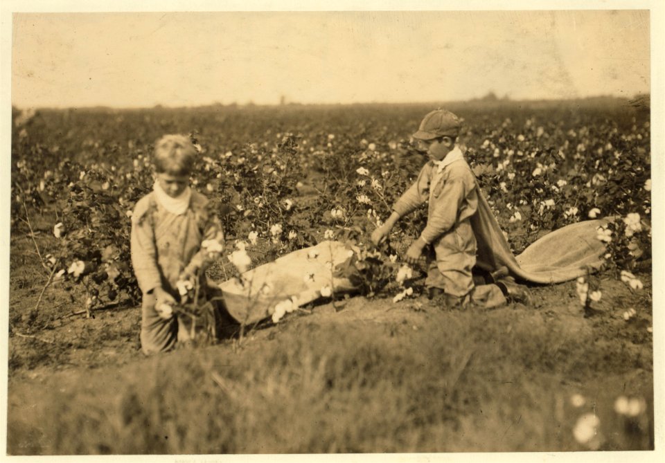 Hard Workers. Grady Carroll, nine year old cotton picker. He picks two hundred pounds a day. Brother Ed, ten years old picks three hundred pounds a day. Another brother thirteen years old LOC nclc.00237