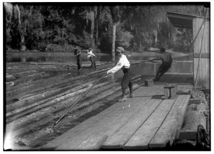 Hard work and dangerous. This 'river-boy' Lyman Frugia. Poles the heavy logs into the incline that takes them up to the mill. It is not only hard work, but he is exposed to all kinds of LOC nclc.05547 photo