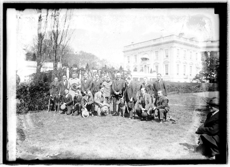 Harding & wounded men, (3-25-21) LCCN2016845016