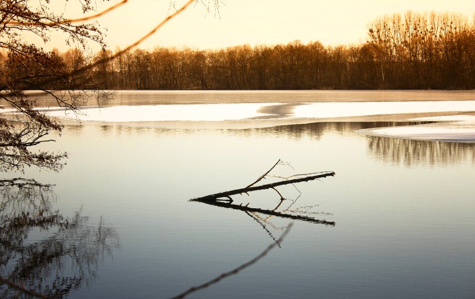 Nature river winter photo