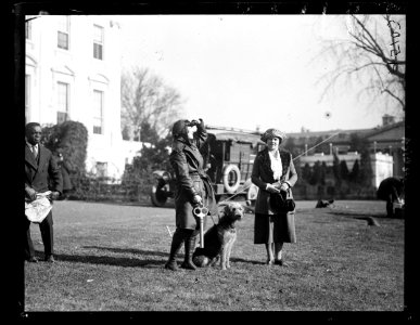 Harding's dog Laddie Boy at the White House, Washington, D.C. LCCN2016891885