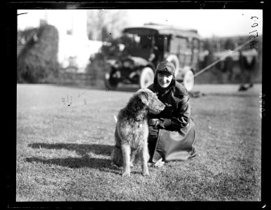 Harding's dog Laddie Boy at the White House, Washington, D.C. LCCN2016891884