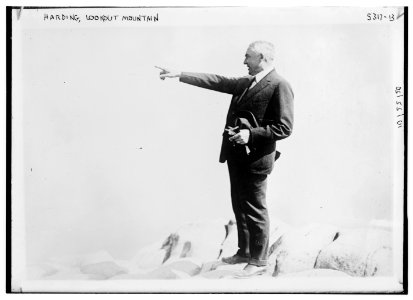 Harding, Lookout Mountain LCCN2014711687