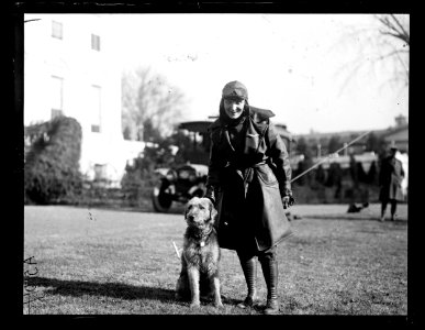 Harding's dog Laddie Boy at the White House, Washington, D.C. LCCN2016891886