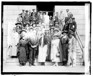 Harding, suffragette group LCCN2016828257