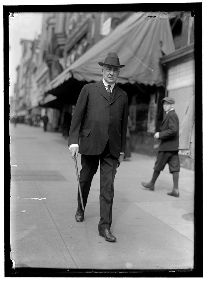 HARDING, WARREN GAMALIEL. SENATOR FROM OHIO, 1915-1921. PRESIDENT OF THE UNITED STATES, 1921-1923 LCCN2016866611