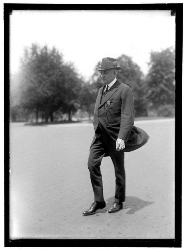 HARDING, WARREN GAMALIEL. SENATOR FROM OHIO, 1915-1921. PRESIDENT OF THE UNITED STATES, 1921-1923 LCCN2016867337