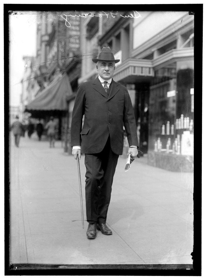 HARDING, WARREN GAMALIEL. SENATOR FROM OHIO, 1915-1921. PRESIDENT OF THE UNITED STATES, 1921-1923 LCCN2016867288