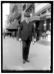HARDING, WARREN GAMALIEL. SENATOR FROM OHIO, 1915-1921. PRESIDENT OF THE UNITED STATES, 1921-1923 LCCN2016867288