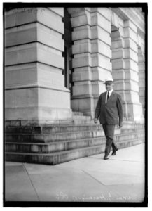 HARDING, WARREN GAMALIEL. SENATOR FROM OHIO, 1915-1921. PRESIDENT OF THE UNITED STATES, 1921-1923 LCCN2016870073
