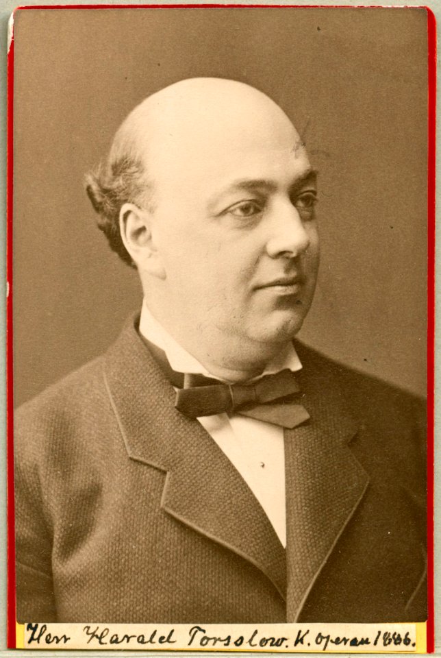 Harald Torsslow, porträtt - SMV - H8 154