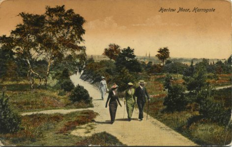 Harlow Moor 1916 photo