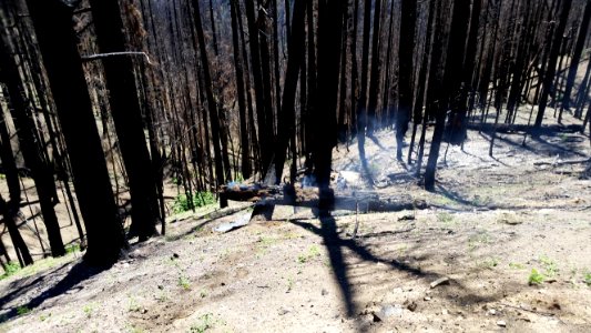HappyCampComplexFire