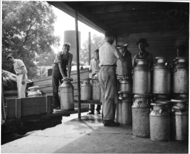 Harmony Community, Putnam County, Georgia. The cooperative milk station in Eatonton is a large one. . . . - NARA - 521318