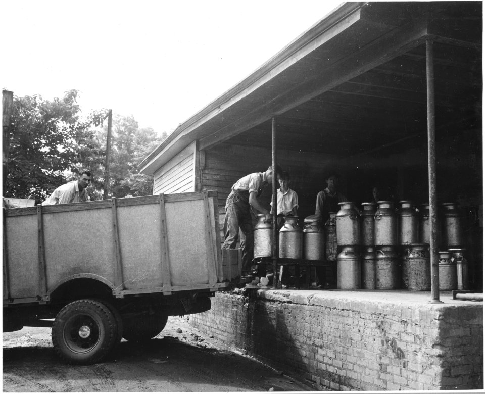 Harmony Community, Putnam County, Georgia. The cooperative milk station in Eatonton is a large one. . . . - NARA - 521317