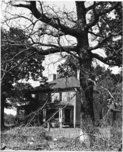 Harmony Community, Putnam County, Georgia. This place was once a fine plantation house with 700 acre . . . - NARA - 521269 photo