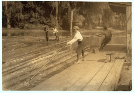 Hard work and dangerous. This 'river-boy' Lyman Frugia. Poles the heavy logs into the incline that takes them up to the mill. It is not only hard work, but he is exposed to all kinds of LOC nclc.05547 photo