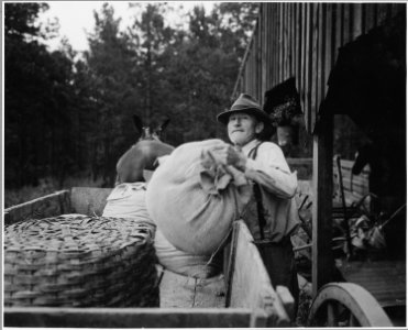 Harmony Community, Putnam County, Georgia.... A Briar Patch farmer unloading purchased grain at hi . . . - NARA - 521442