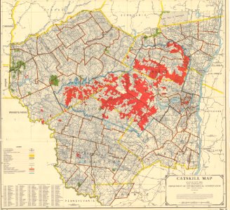 Hardenbergh Patent Map Survey