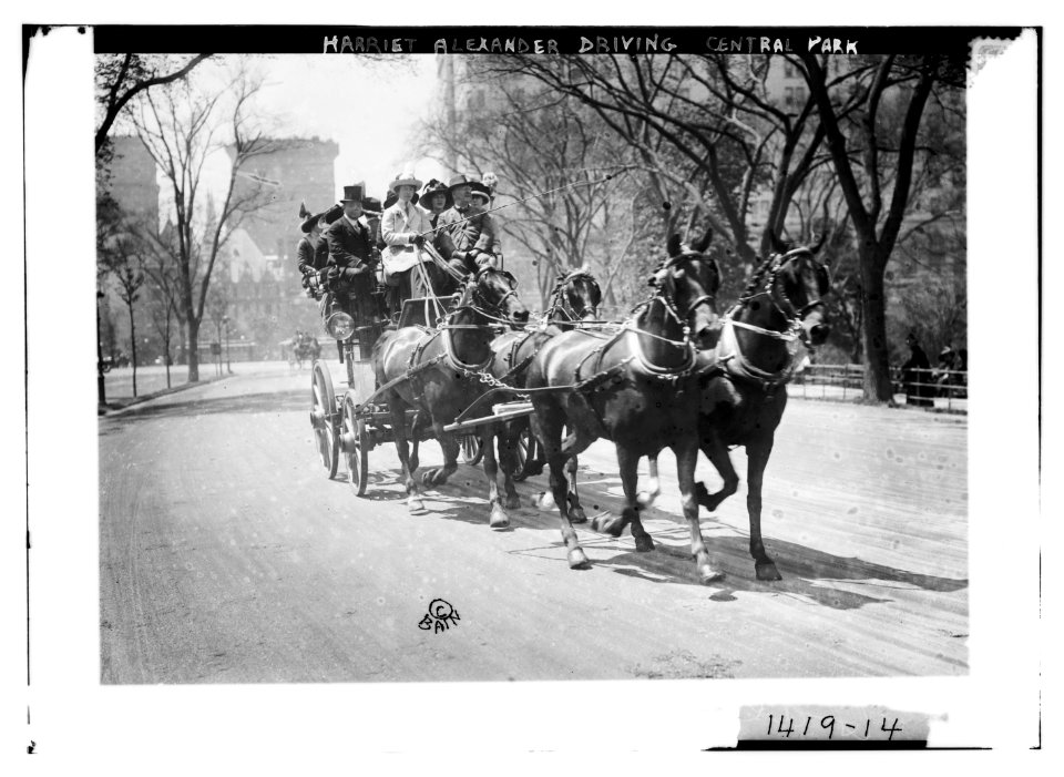 Harriet Alexander driving, Central Park LCCN2014687881