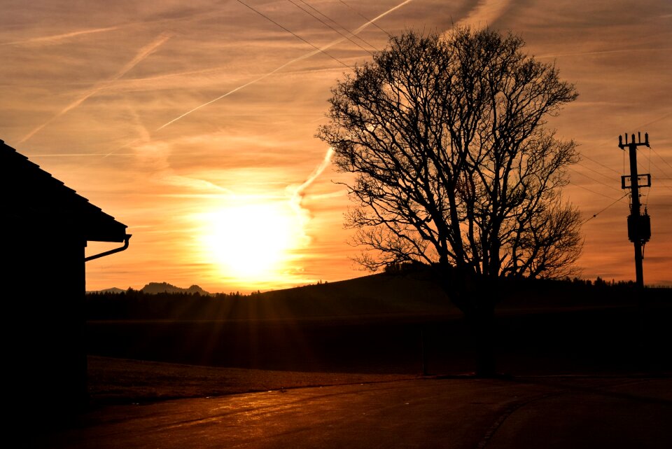 Sun silhouette nature
