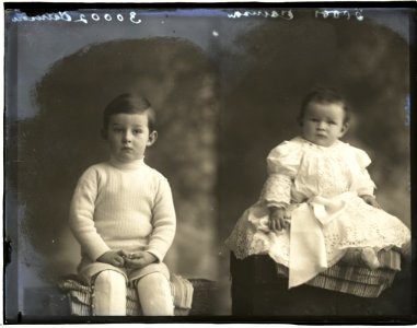 Harrison brothers, 15 Dec 1908 (16443525874)