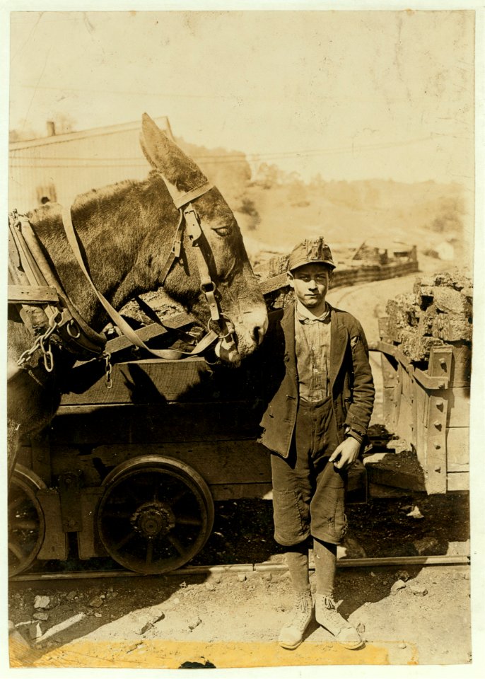 Harry and Sallie. Driver in Maryland Coal Co. Mine, near Sand Lick, Grafton, W. Va. Was afraid to be photo'd because we might make him go to school. Probably 12 years old. LOC cph.3b30369