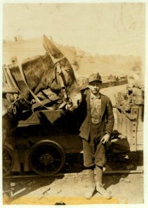 Harry and Sallie. Driver in Maryland Coal Co. Mine, near Sand Lick, Grafton, W. Va. Was afraid to be photo'd because we might make him go to school. Probably 12 years old. LOC cph.3b30369