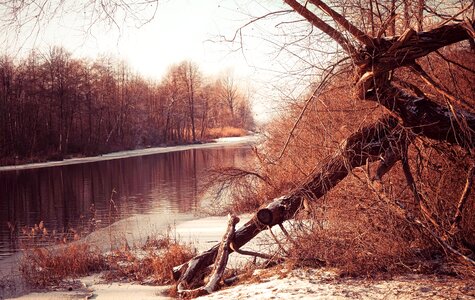 At the court of snow landscape
