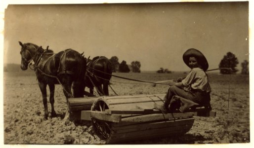 Harry Dewitt driving a roller on his father's farm. See report. LOC nclc.00424